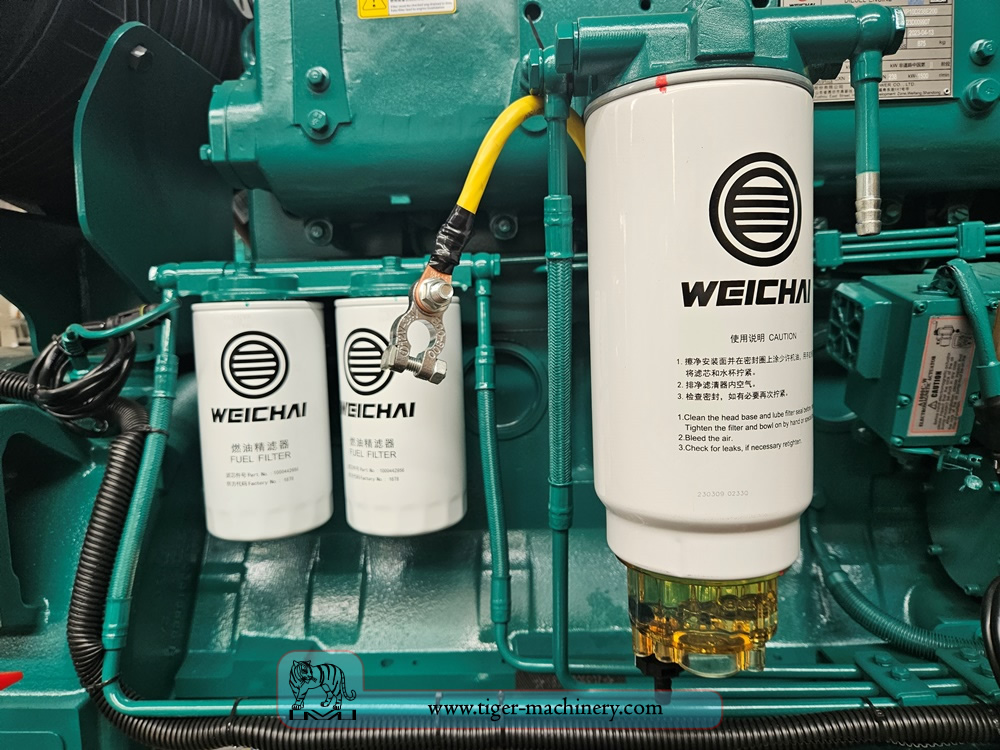 Generator fuel filter